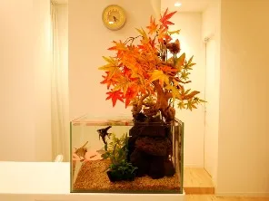 医療・介護施設