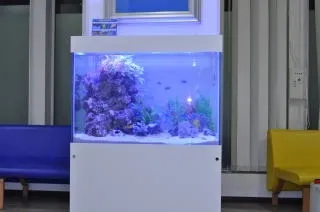 サロン・幼稚園