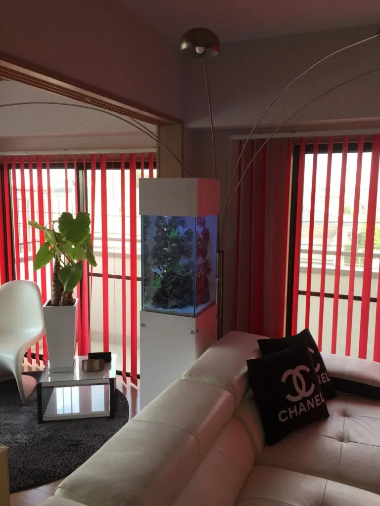 サロン・幼稚園