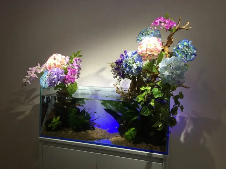 サロン・幼稚園