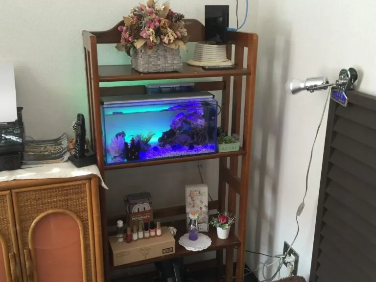 サロン・幼稚園