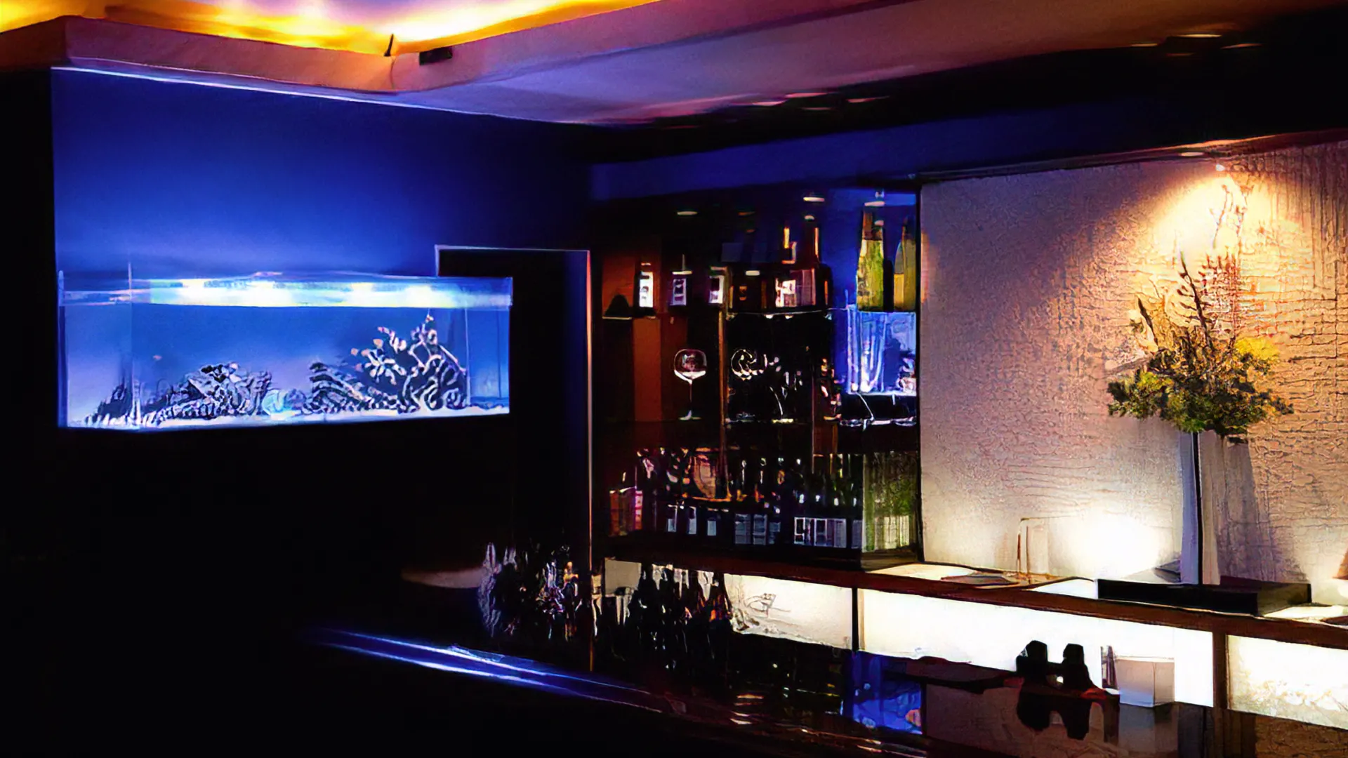 アクアリウム デザイン K2