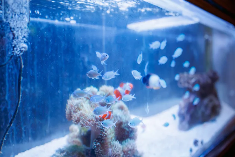 ご要望とご予算に合わせたご提案