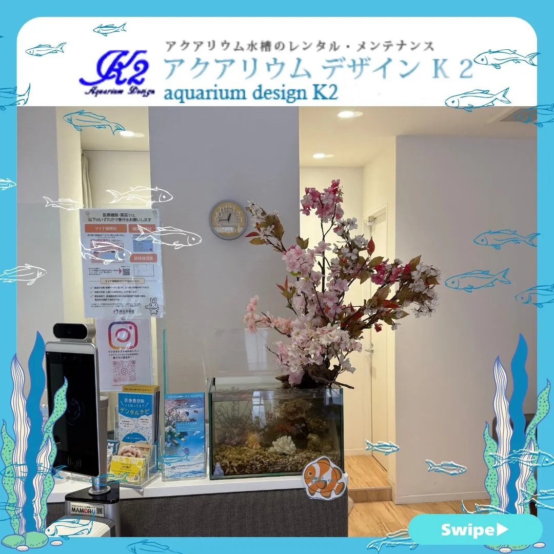 @aquadk2👈他の投稿もチェック