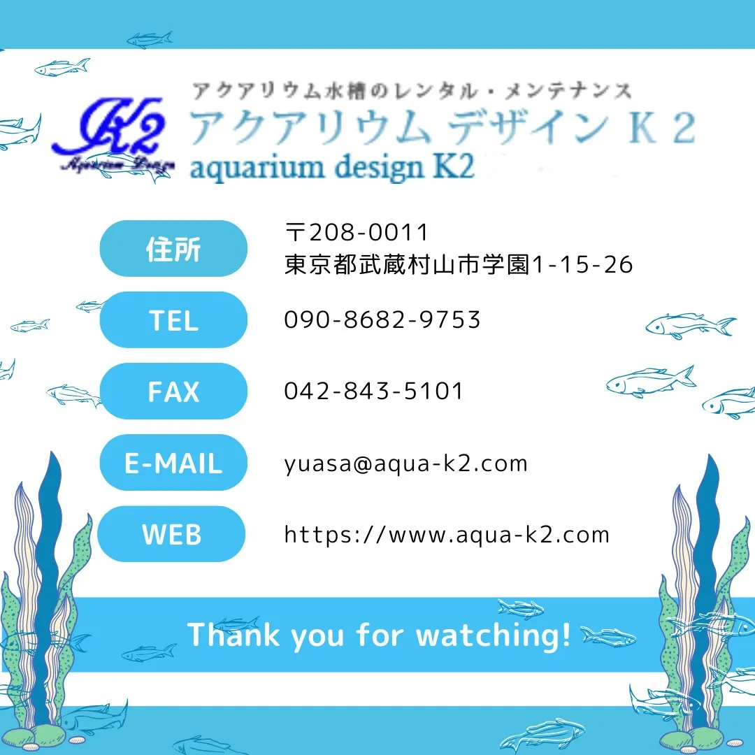 @aquadk2👈他の投稿もチェック