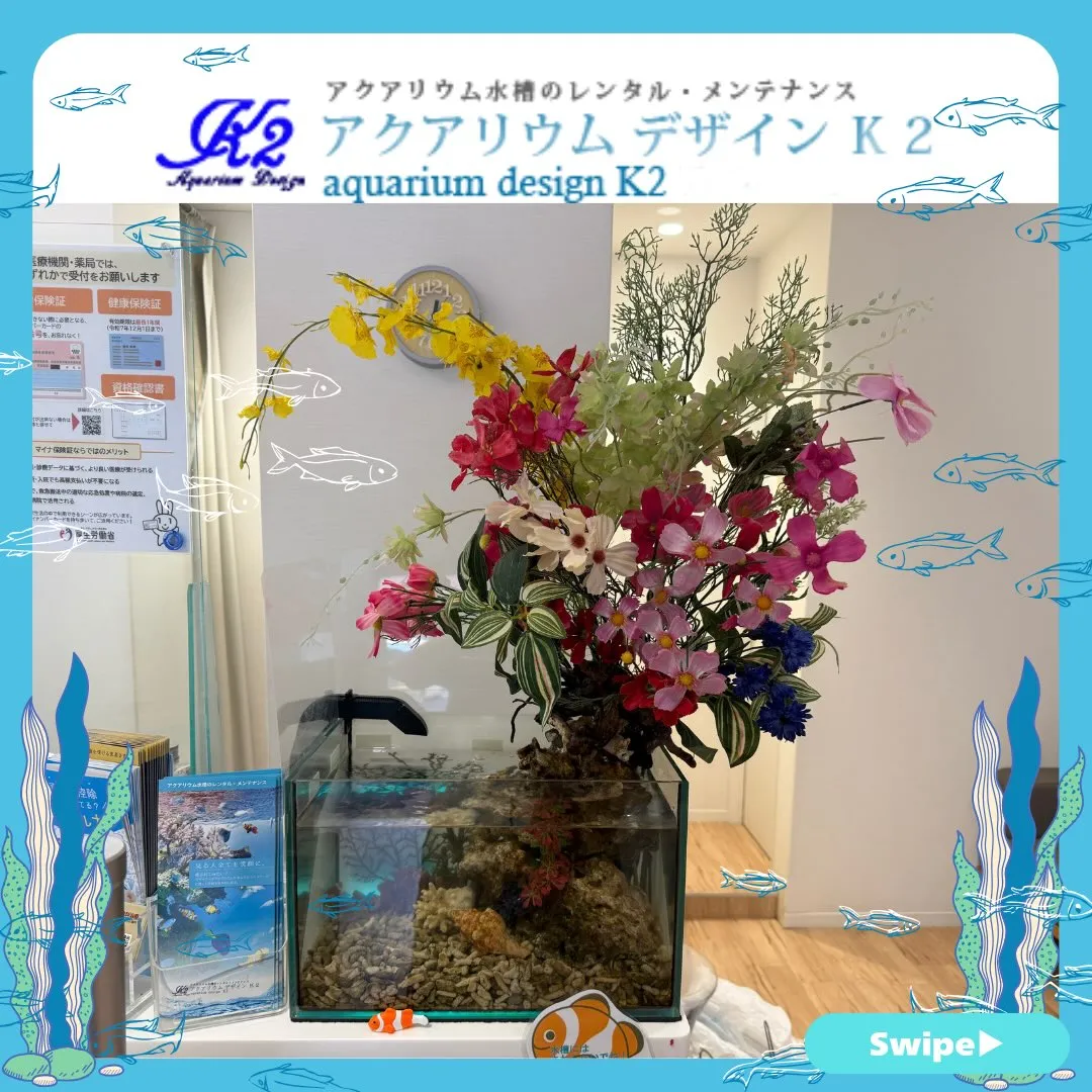 【アクアリウムデザイン K2】/水草/海水/水槽レンタル/多...