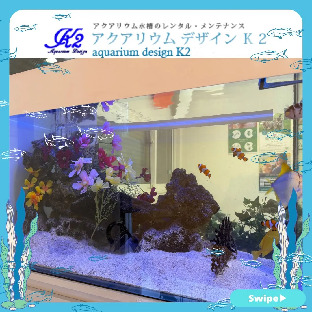 【アクアリウムデザイン K2】/水草/海水/水槽レンタル/多...