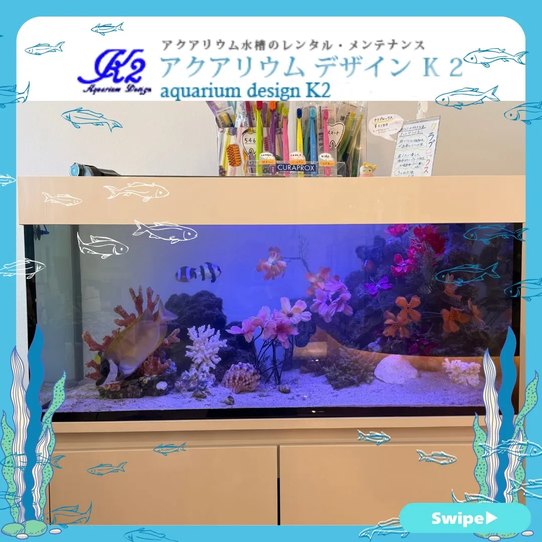 【アクアリウムデザイン K2】/水草/海水/水槽レンタル/多...