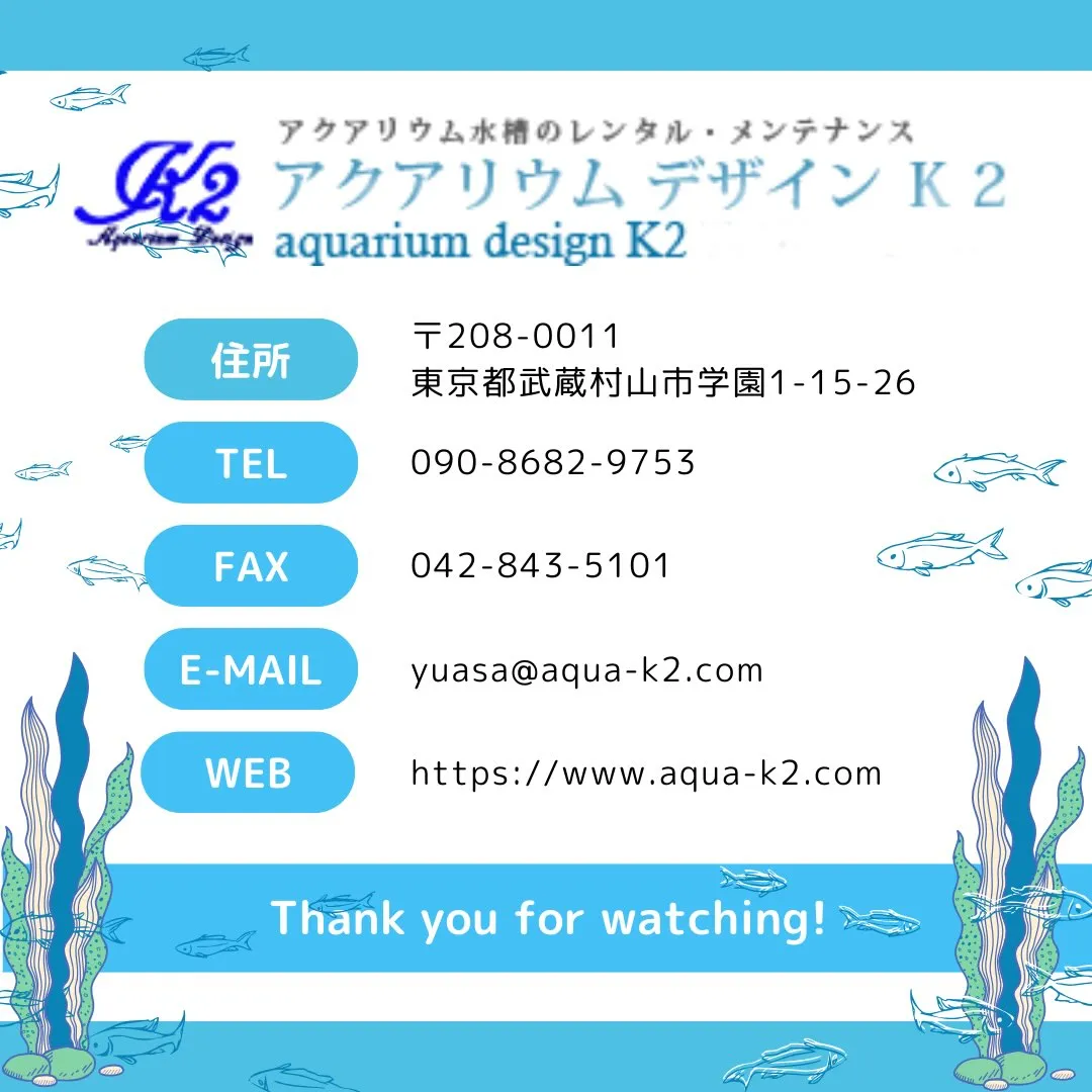 【アクアリウムデザイン K2】/水草/海水/水槽レンタル/多...