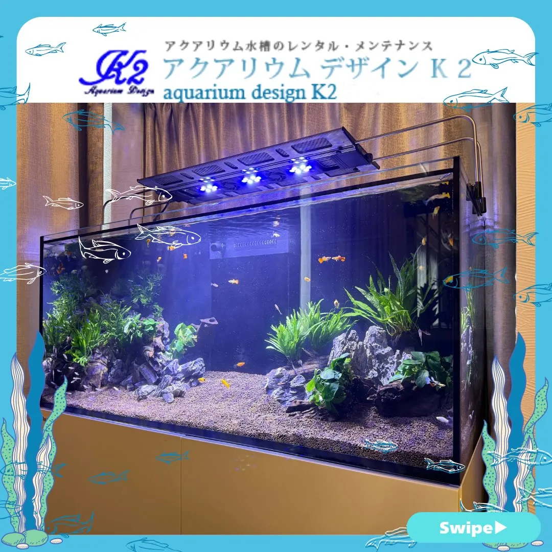 【アクアリウムデザイン K2】/水草/海水/水槽レンタル/多...