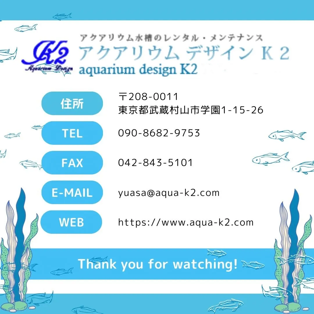 【アクアリウムデザイン K2】/水草/海水/水槽レンタル/多...
