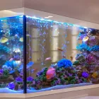 アクアリウム